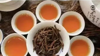 你生日幾號(hào),就是哪杯茶